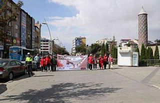 Kızılay kadınları yürüyüş etkinliğinde buluştu