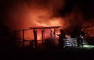 Kocaeli’de elektrik sobasından çıkan yangında...