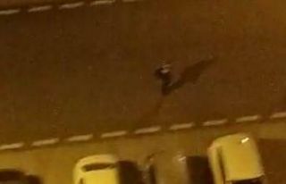 Köpeği çocukların üstüne saldı, korkan çocuk...