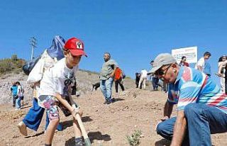 Körfez’in çınarları gelecek için fidan dikti