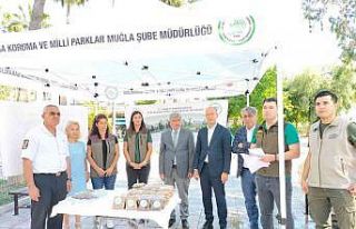 Köyceğiz’de hayvanları koruma amacıyla farkındalık...