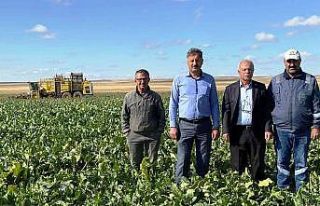 Kulu’da şeker pancarı hasadı başladı