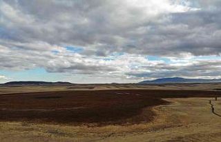 Kuruyan Kuyucuk Gölü sessizliği büründü