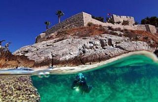 Kuşadası Belediyesi Deniz Canlıları Tanıtım...