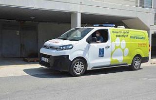 Kuşadası’nda can dostlar ’Haybulans’lara emanet