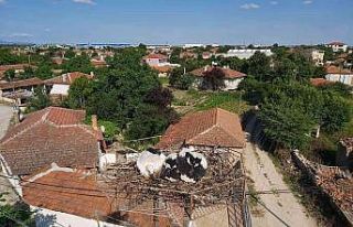 “Leylek Popülasyonunu Koruma” projesi finali...