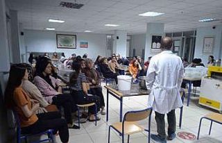 Lise öğrencilerine peynir yapımı uygulamalı anlatıldı