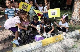 Manavgat Belediyesi’nin kreş öğrencileri sokak...