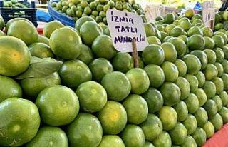 Mandalina tezgaha düştü, vatandaş ilgi gösterdi