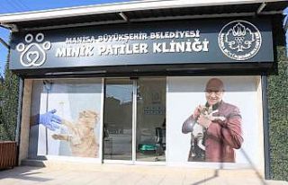 Manisa Büyükşehir Belediyesi patili dostların...