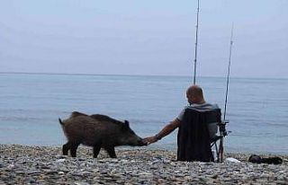 Manisalı kamu fotoğrafçıları Dilek Milli Parkı’nı...