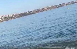 Marmara Denizi’nde şaşkınlık yaşatan olay,...