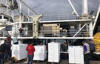 Marmara’da hamsi dönemi başladı