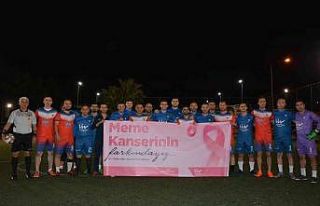 Meme kanserine dikkat çektiler