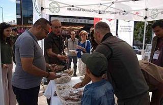 Menteşe’de kedi ve köpeklere mama dağıtıldı