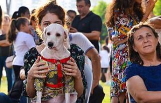 Mersin’de PatiFest’e hazırlanılıyor