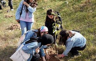 Mezun oldukları üniversitede hatıra ormanı oluşturdular