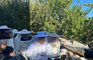 Milletvekili Arvas karakovan bal hasadı yaptı