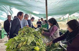 Milletvekili Tutdere, köylülerin sorunlarını dinliyor