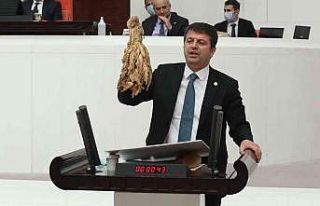 Milletvekili Tutdere, tütün hastalıklarını mecliste...