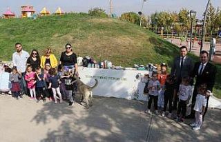 Minikler, Dünya Kız Çocukları Günü için duvarları...