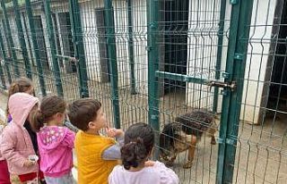 Miniklerden hayvan barınağına ziyaret