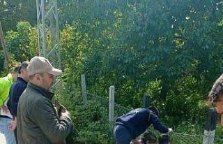 Motosikletiyle şarampole yuvarlanan genç ağır...