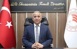 Müdür Sağlam: "Bu yıl palamutta çok büyük...