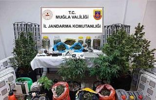 Muğla’da uyuşturucu operasyonu