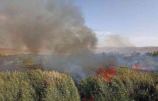 Muradiye’de sazlık yangını