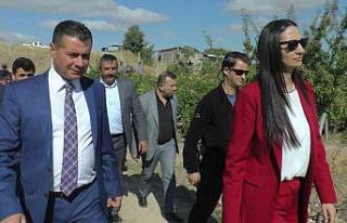 Nevşehir’de badem hasadı yapıldı