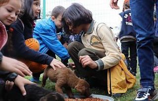 Öğrenciler, can dostlarını unutmadılar