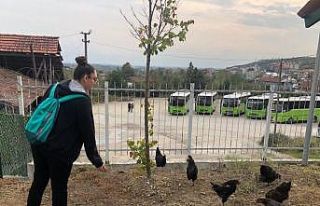 Öğrencilere köy ortamı oluşturuldu