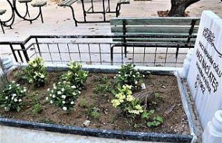 Ölmeden önce cami avlusuna yaptırdığı mezarına...