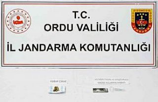 Ordu’da uyuşturucu operasyonunda 1 kişi tutuklandı