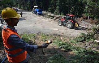 Orman köylüsüne 890 bin lira hibe