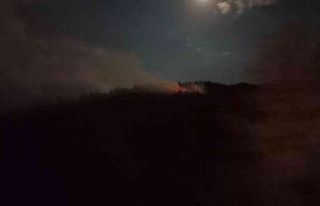 Orman yangını büyümeden söndürüldü