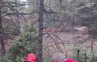 Ormanda kaybolduğu bildirilen şahıs bulundu