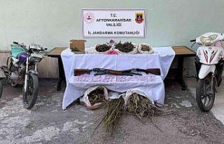 Ormanı uyuşturucu tarlasına çevirmişler