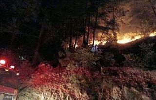 Osmaniye’deki orman yangını kontrol altına alındı