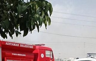 Otluk alanda çıkan yangın korkuttu