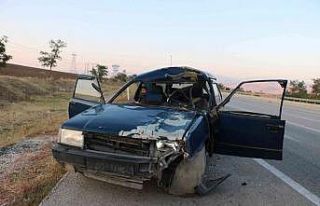 Otomobilin çarptığı at telef olduğu kazada 4...