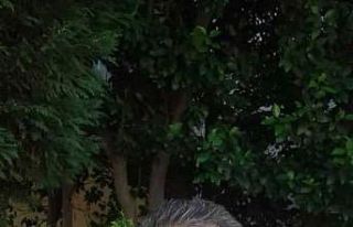 Pendik’te iki grup arasında alacak verecek meselesi...