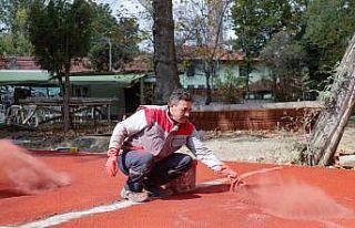 Ressam Ahmet Yakupoğlu Parkı’ndaki çalışmalar...