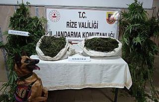 Rize’de jandarmadan uyuşturucu operasyonu