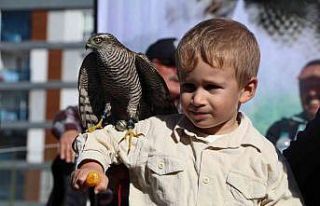 Rize’de şahin ve atmaca tutkunları Şahin-Atmaca...