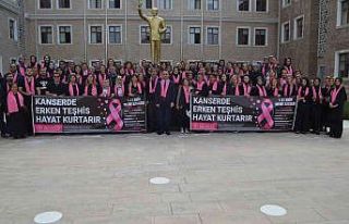 Sağlıkçılar meme kanserine dikkat çekti