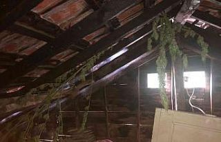 Sakarya’da 8 kilo esrar ele geçirildi: 1 gözaltı