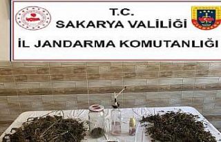 Sakarya’da uyuşturucu operasyonu: 1 gözaltı