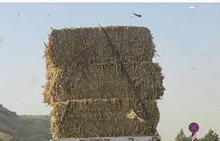 Samanları yola serpe serpe ilerleyen tır trafiği...